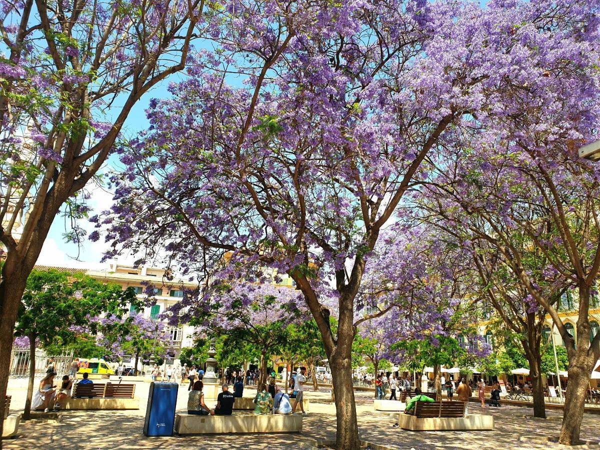 Sunny Malaga Centre Flats, 2 Options, With Balcony Or Terrace Διαμέρισμα Εξωτερικό φωτογραφία